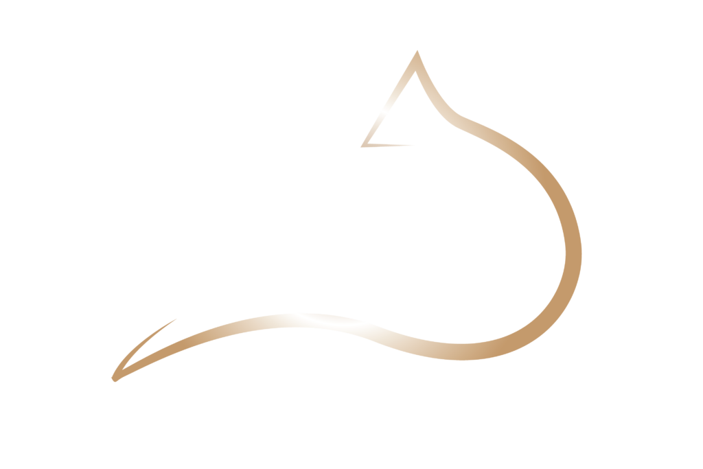Golden Fox Investments